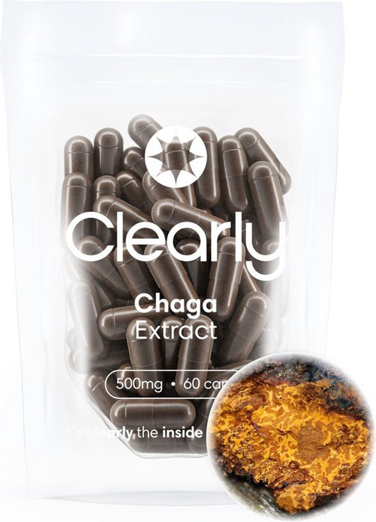 Chaga-Extract