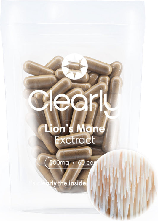Lion's Mane Extract